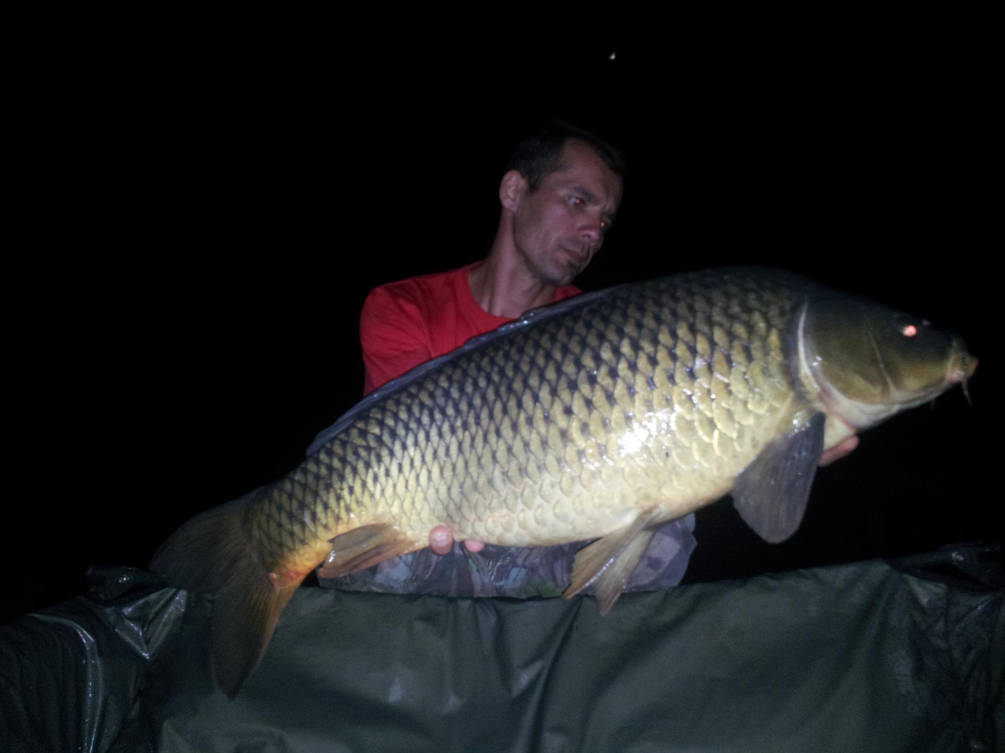 Tancabesti 31 august - 7 septembrie 2014 - 20140902210524.jpg